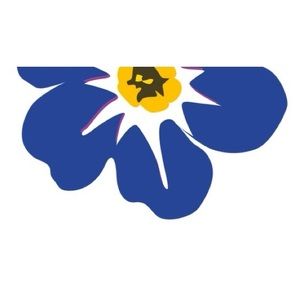 Meet your Posher, Dylan